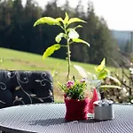 아파트 Haus Janssen-wehrle *