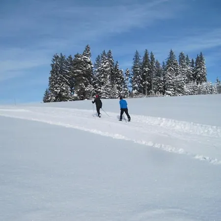Haus Janssen-wehrle Appartement *