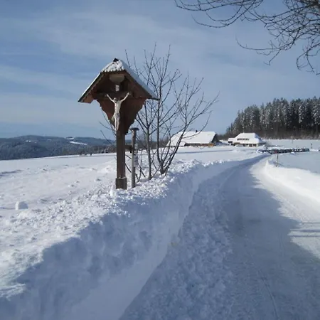 Haus Janssen-wehrle Apartment Titisee-Neustadt