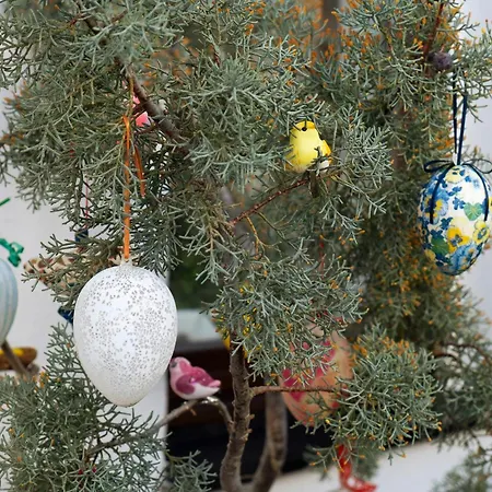 Haus Janssen-wehrle Appartement *