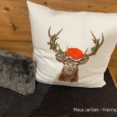 Haus Janssen-wehrle *