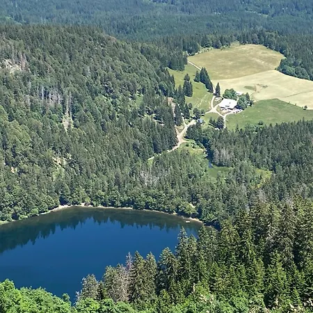 Haus Janssen-wehrle Apartment Titisee-Neustadt