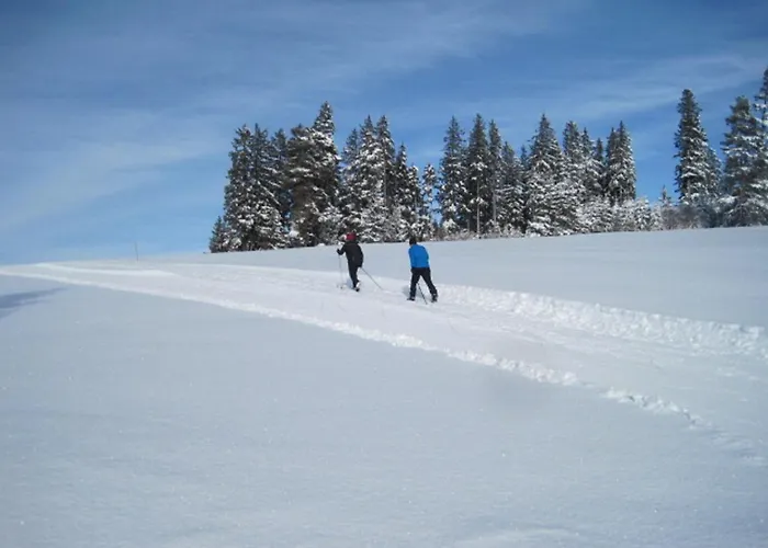 Haus Janssen-wehrle Appartamento *